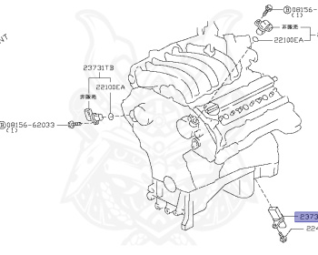 Nissan - Elgrand - E51 - 2007 - HIGHWAYSTAR GRADE - 5 Door Coach (5K) - 2 WHEEL DRIVE(2WD) - AUTOMATIC TRANSMISSION(AT) - VQ35DE