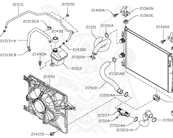 Nissan - Dualis - J10 - 2013 - 20S/20S4 - 5 DOOR HATCHBACK(5H/B) - 2 WHEEL DRIVE(2WD) - MCVT(MCVT) - MR20DE