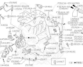 Nissan - Bluebird - U11 - 1984 - Maxima LE - HARDTOP(K) - 5 SPEED MANUAL TRANS(F5) - VG20T