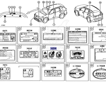 Toyota - RAV4 Hybrid - AXAH54 - 2019 - HYBRID X TYPE - WAGON - Variator - A25AFXS