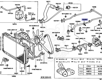 Toyota - Celica - MA61 - 1981 - GT TYPE - LIFTBACK - Manual - 5MGEU