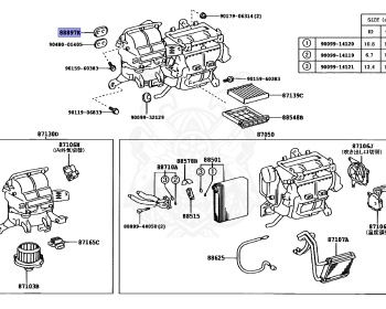 Toyota - Will Vs - ZZE127 - 2003 - 5-DOOR - Automatic - 1ZZFE