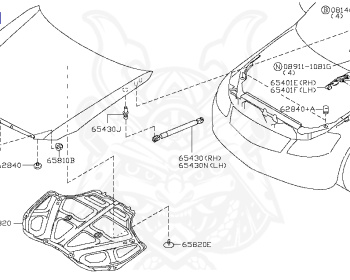 Nissan - Fuga - Y50 - 2005 - 350GT - SEDAN(S) - 2 WHEEL DRIVE(2WD) - AUTOMATIC TRANSMISSION(AT) - VQ35DE