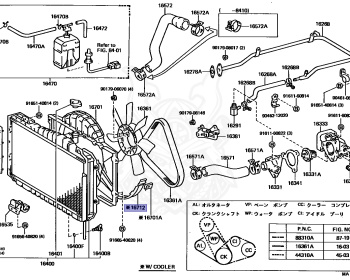 Toyota - Celica - MA61 - 1981 - GT TYPE - LIFTBACK - Automatic - 5MGEU