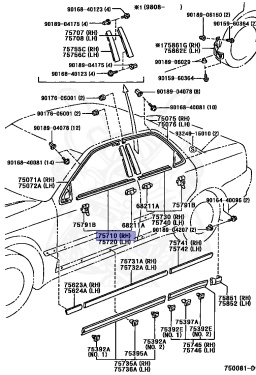 75710-22250 - Toyota - Moulding Assy, Front Door Belt, Rh - Nengun ...
