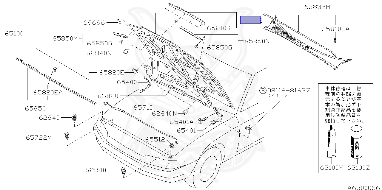 65820-06U00 - Nissan - Molding, Front Front - Nengun Performance