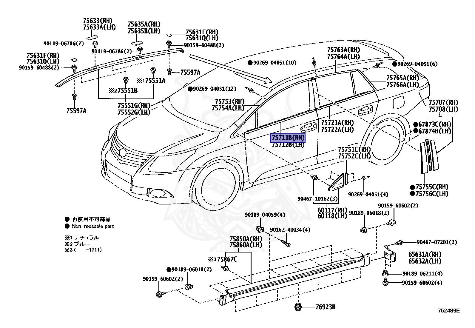 75711-05020 - Toyota - Moulding, Front Door Belt, Rh - Nengun