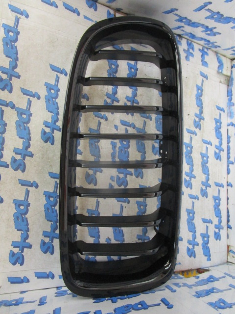 BMW - BMW 3 Series (F30) Genuine Black Grille