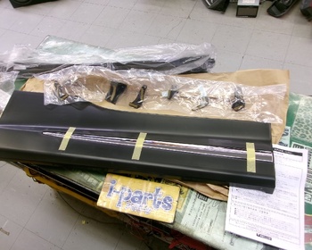 Modellista - Door protector for Alphard 30 series (front left only)