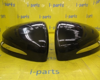 Mercedes Benz - Mercedes-Benz G-Class (G350D) Genuine Door Mirror Cover