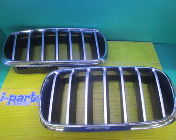 BMW - BMW X6 genuine front grill